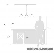 3306-LP CH-AB_scale.jpg